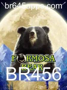 Descubra o Mundo Empolgante de FormosaBear com BR456